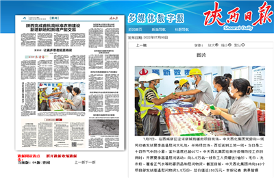 yh86银河国际西北集团珑樾府项目高温慰问——《陕西日报》